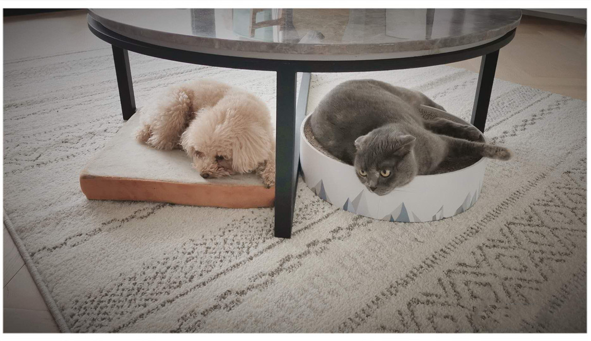 68af4fb818d3638affaa0393be21f96.jpg 68af4fb818d3638affaa0393be21f96.jpg