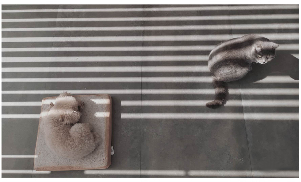 d4a2e054ce5fdd5e8cfeedabc72d4b0.jpg d4a2e054ce5fdd5e8cfeedabc72d4b0.jpg