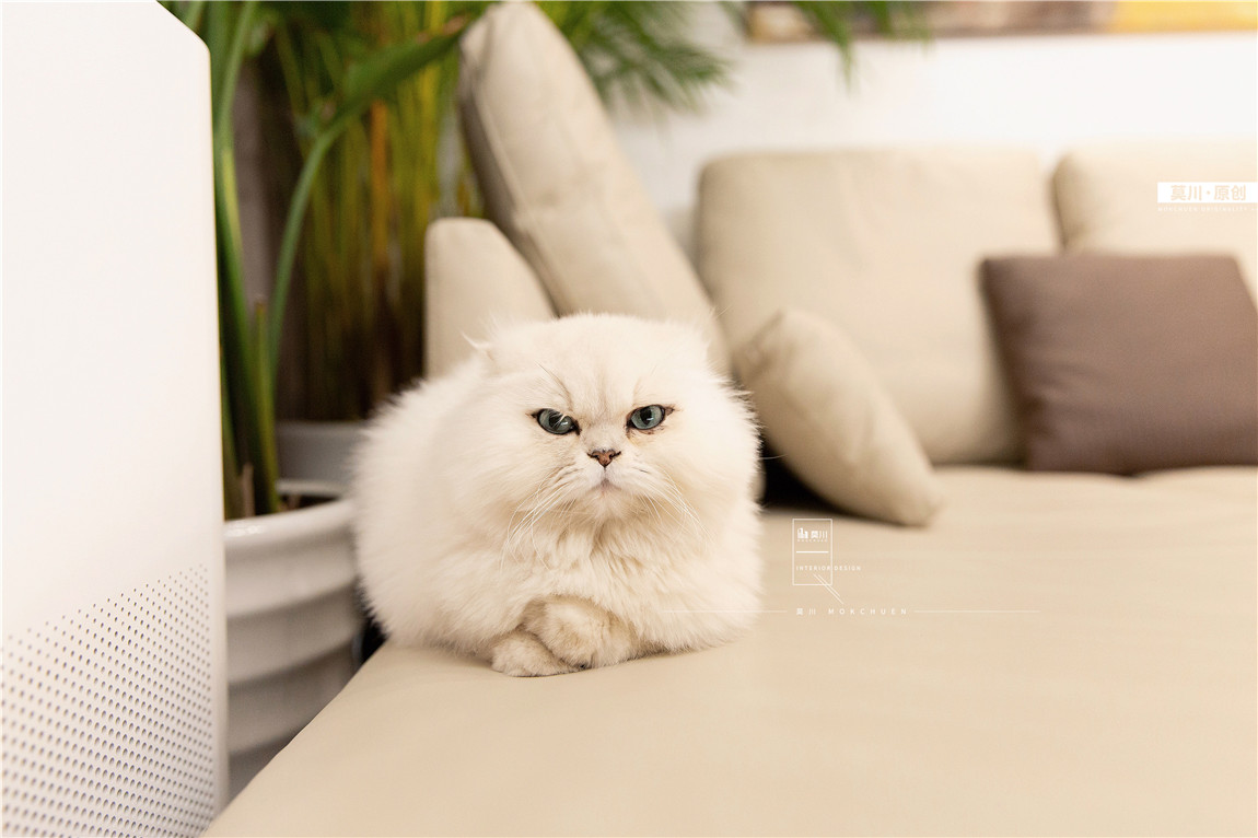 1 (57).JPG 1 (57).JPG